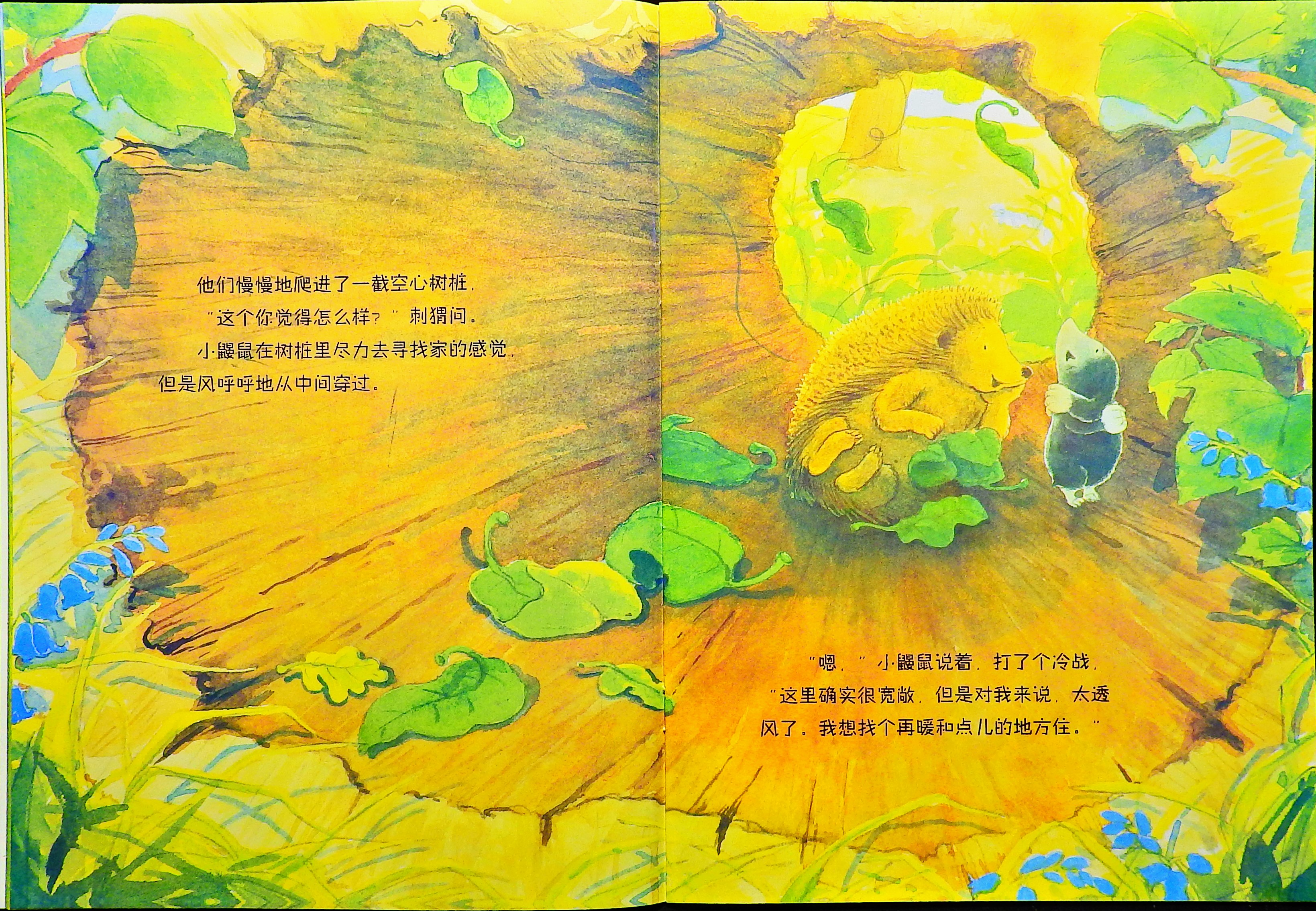 小鼹鼠找新家 (06),绘本,绘本故事,绘本阅读,故事书,童书,图画书,课外阅读